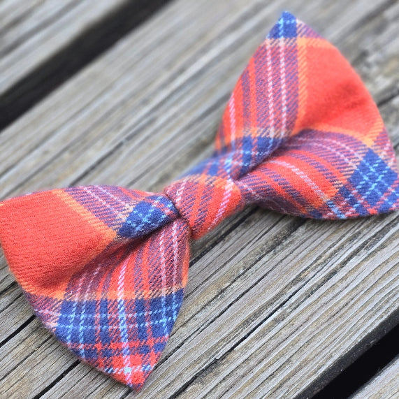 Bonfire Dog Bow Tie