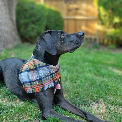 Cozy Campground Dog Bandana