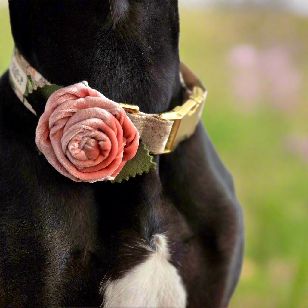 Velvet Rose Collar Accessory