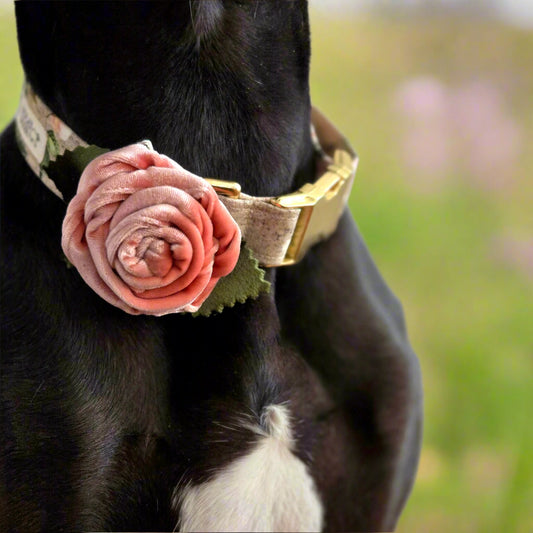 Velvet Rose Collar Accessory