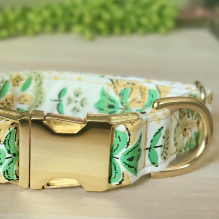 vintage dog collar with green and yellow florals centered on collar with white background
