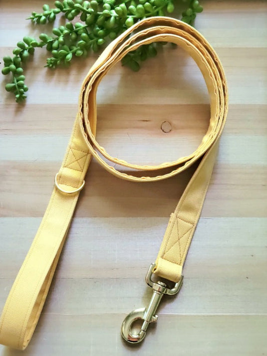 golden yellow cotton canvas solid dog leash with gold hardware