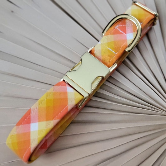Seconds Sale - Key West Plaid Collar