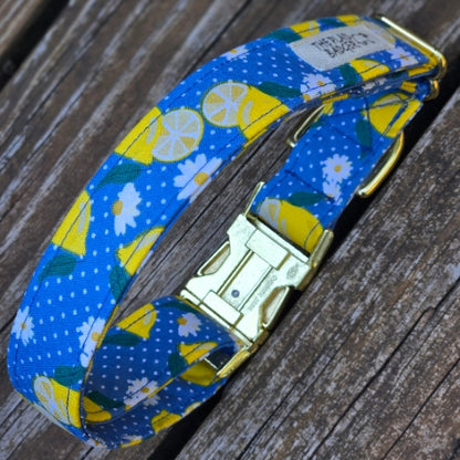 Seconds Sale - Lemonade Dog Collar