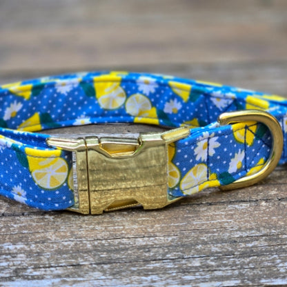 Seconds Sale - Lemonade Dog Collar