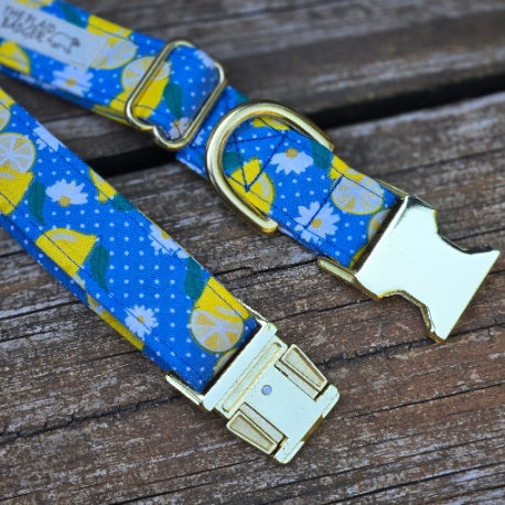 Seconds Sale - Lemonade Dog Collar