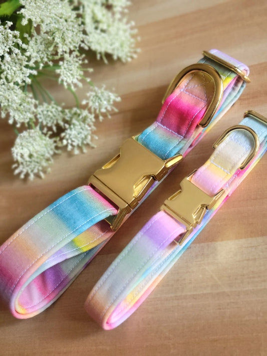lover era inspired dog collar, bright pastel watercolor stripes in rainbow colors