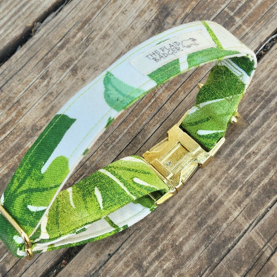 Monstera Canvas Dog Collar