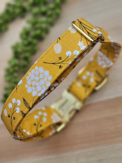 Mustard Floral Dog Collar