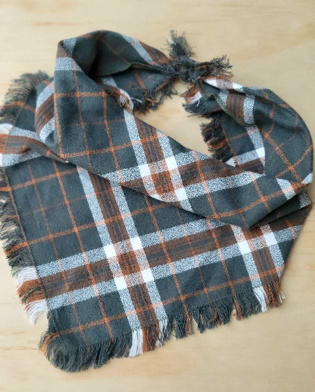 Oregano Plaid Dog Bandana