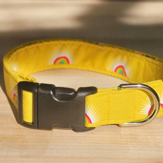 Rainbow Dog Collar - Yellow