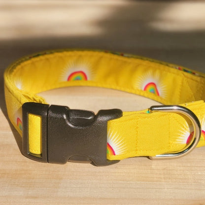 Seconds Sale - Rainbow Dog Collar - Yellow