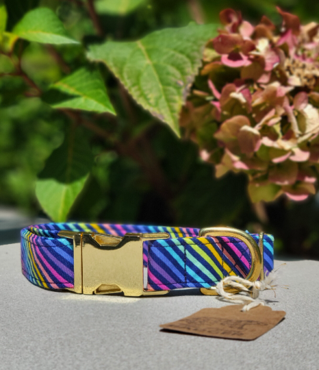 Retro Neon Rainbow Dog Collar