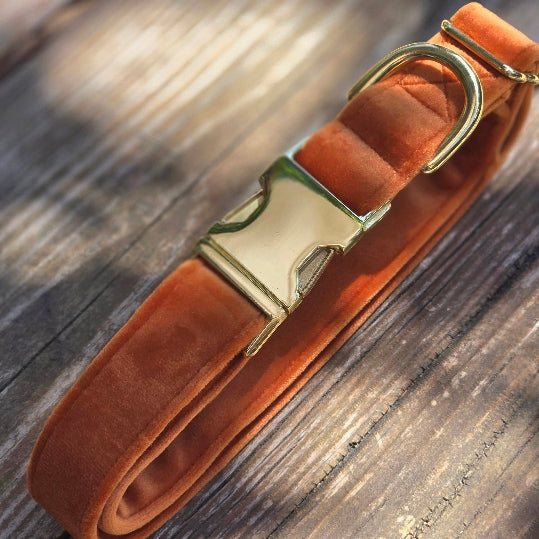 Velvet Dog Collar - Pumpkin