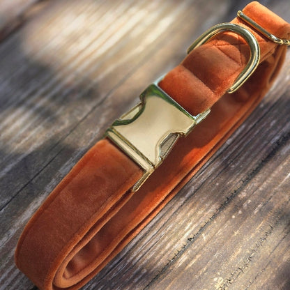 Velvet Dog Collar - Pumpkin