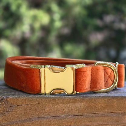 Velvet Dog Collar - Pumpkin