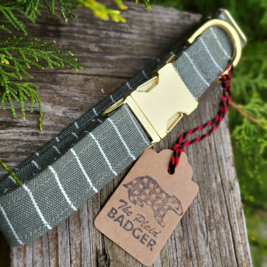 Muted sage green with thin white vertical stripes evenly spaced woven cotton canvas dog collar. minimalist design.