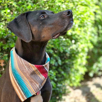 Taupe Southwest Dog Bandana