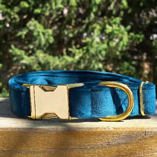 Velvet Dog Collar - Teal