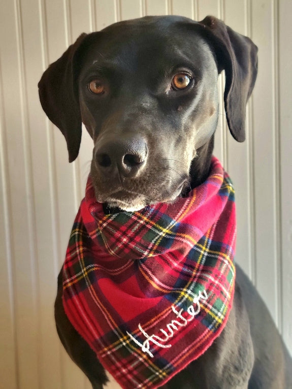 Traditional Christmas Plaid Dog Bandana