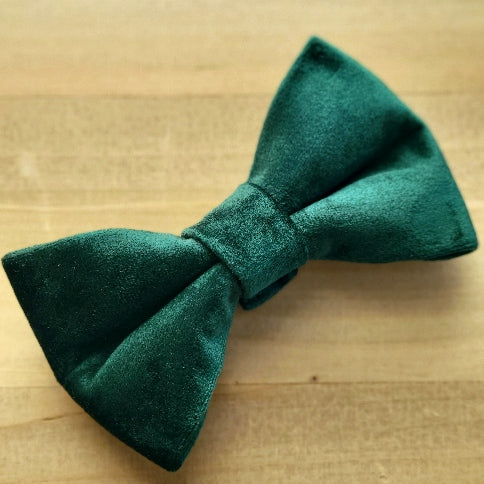Velvet Dog Bow Tie - Evergreen