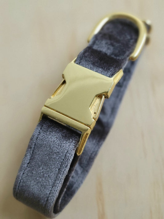 beautiful charcoal gray velvet dog collar. a medium to dark gray with a lovely sheen. soft and luxurious. shown with shiny gold metal hardware