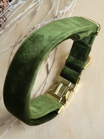 Velvet Dog Collar - Moss