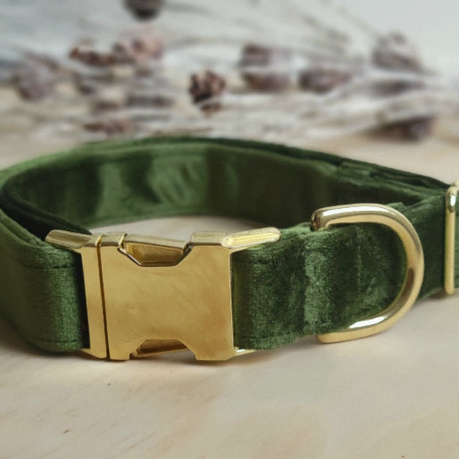 Velvet Dog Collar - Moss