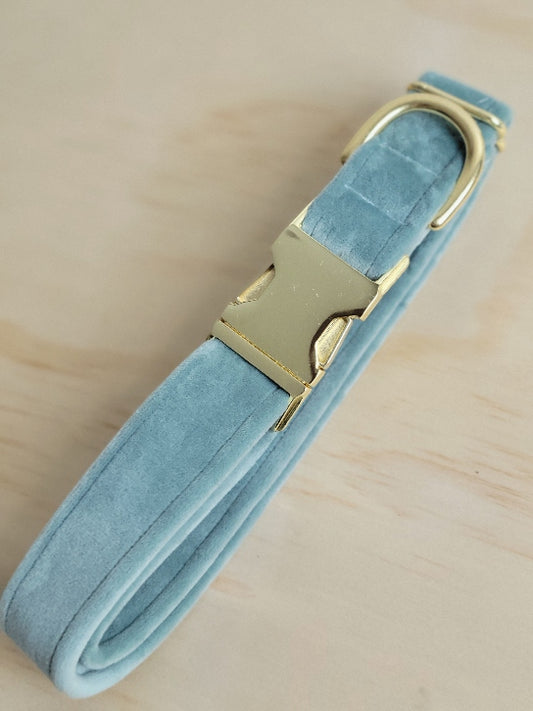 a light pastel green with just a hint a blue, velvet dog collar. High end, and high style, the velvet wraps all the way around the collar and is super soft for around your pet's neck. Shown with shiny gold metal hardware