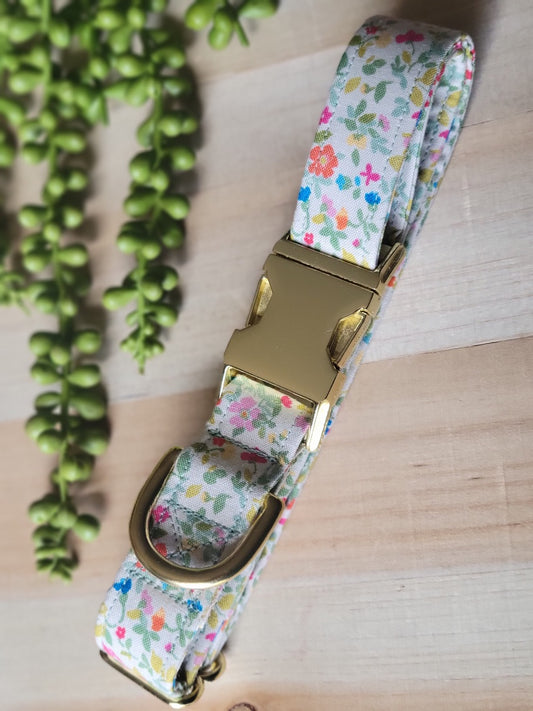 small bright florals in rainbow hues with sage green greenery on natural background dog collar