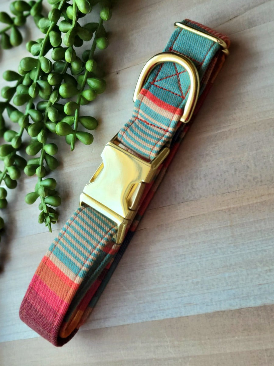 striped dog collar in muted rainbow colors