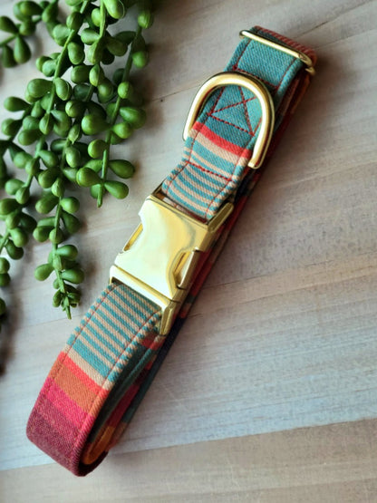 striped dog collar in muted rainbow colors